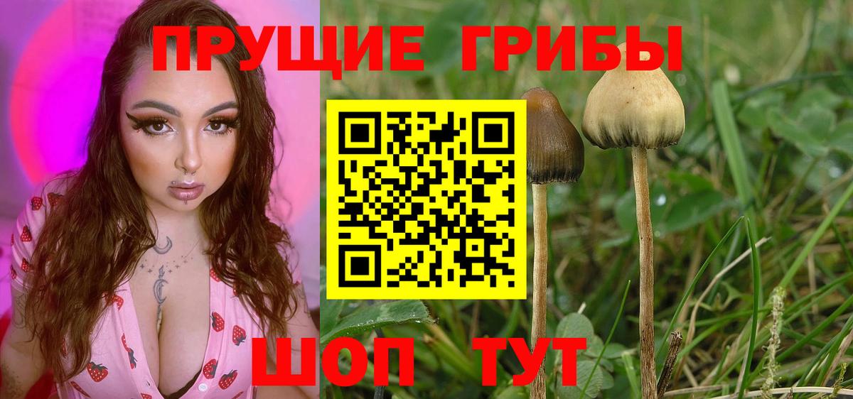 Галлюциногенные грибы прущие грибы  Вход с VPN  где купить наркоту  Клинцы 