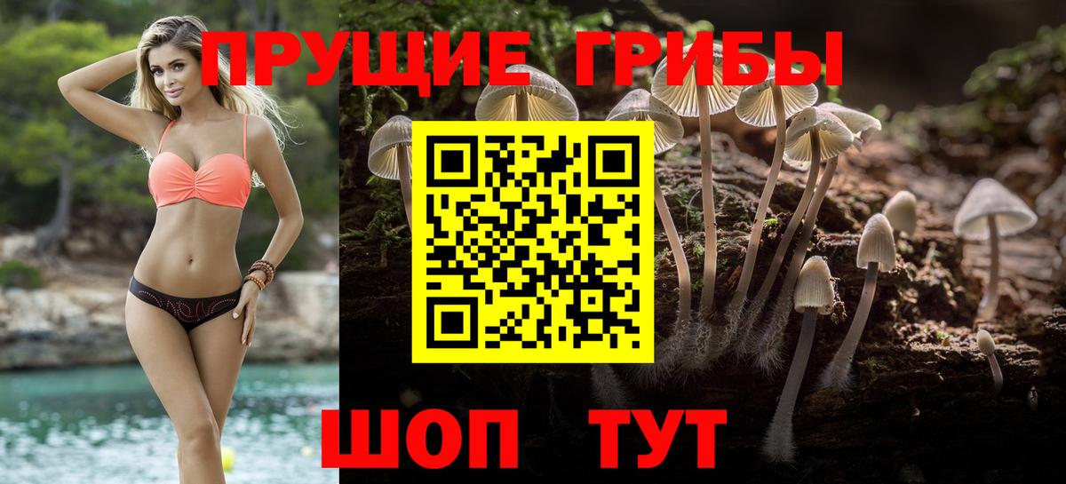 ГАШИШ Клинцы